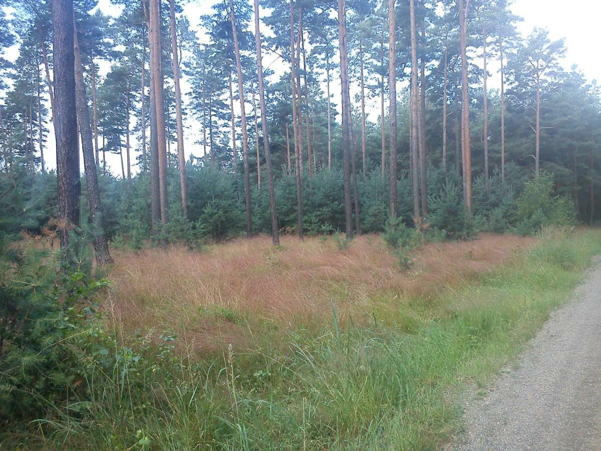 Ferienwohnungen 3 Birken Briesen  Екстер'єр фото